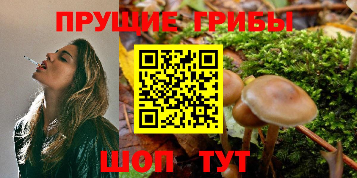 Гай  Псилоцибиновые грибы мухоморы  Вход с VPN 