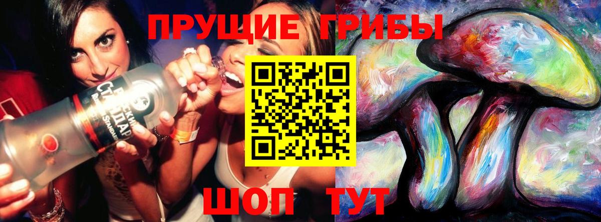 Псилоцибиновые грибы Cubensis Гай