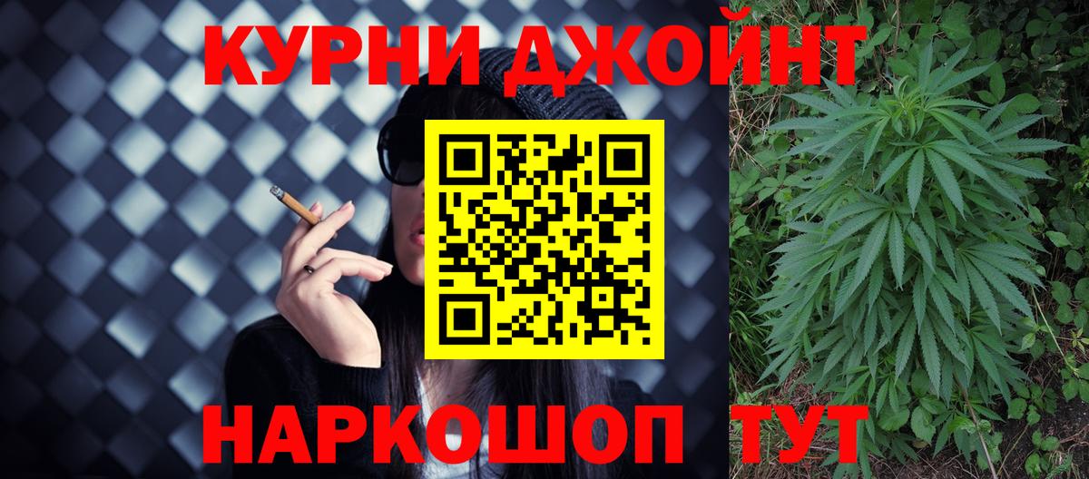 МАРИХУАНА сатива Гай